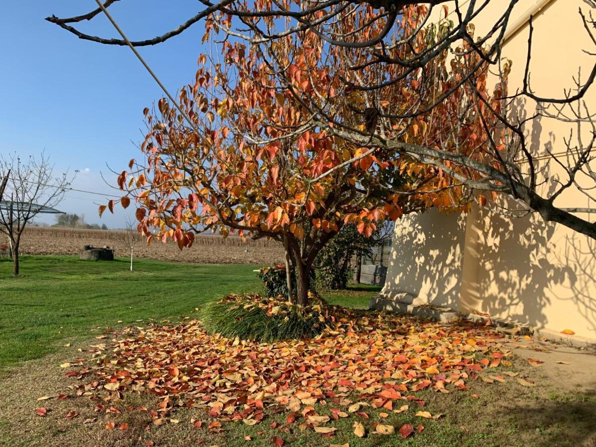Agriturismo Cascina Mariale Albiano dʼIvrea Exterior foto