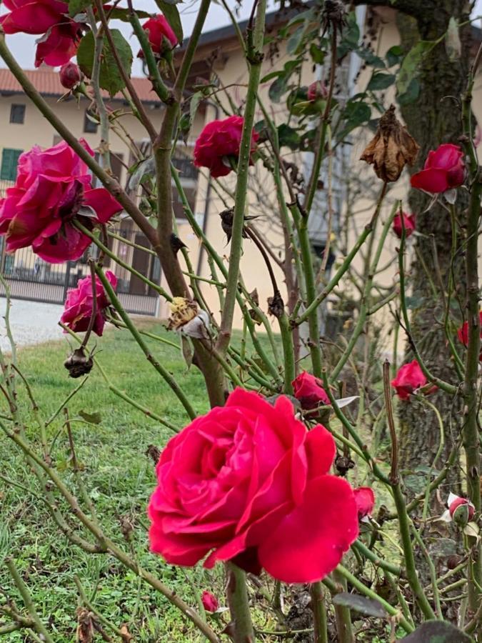 Agriturismo Cascina Mariale Albiano dʼIvrea Exterior foto